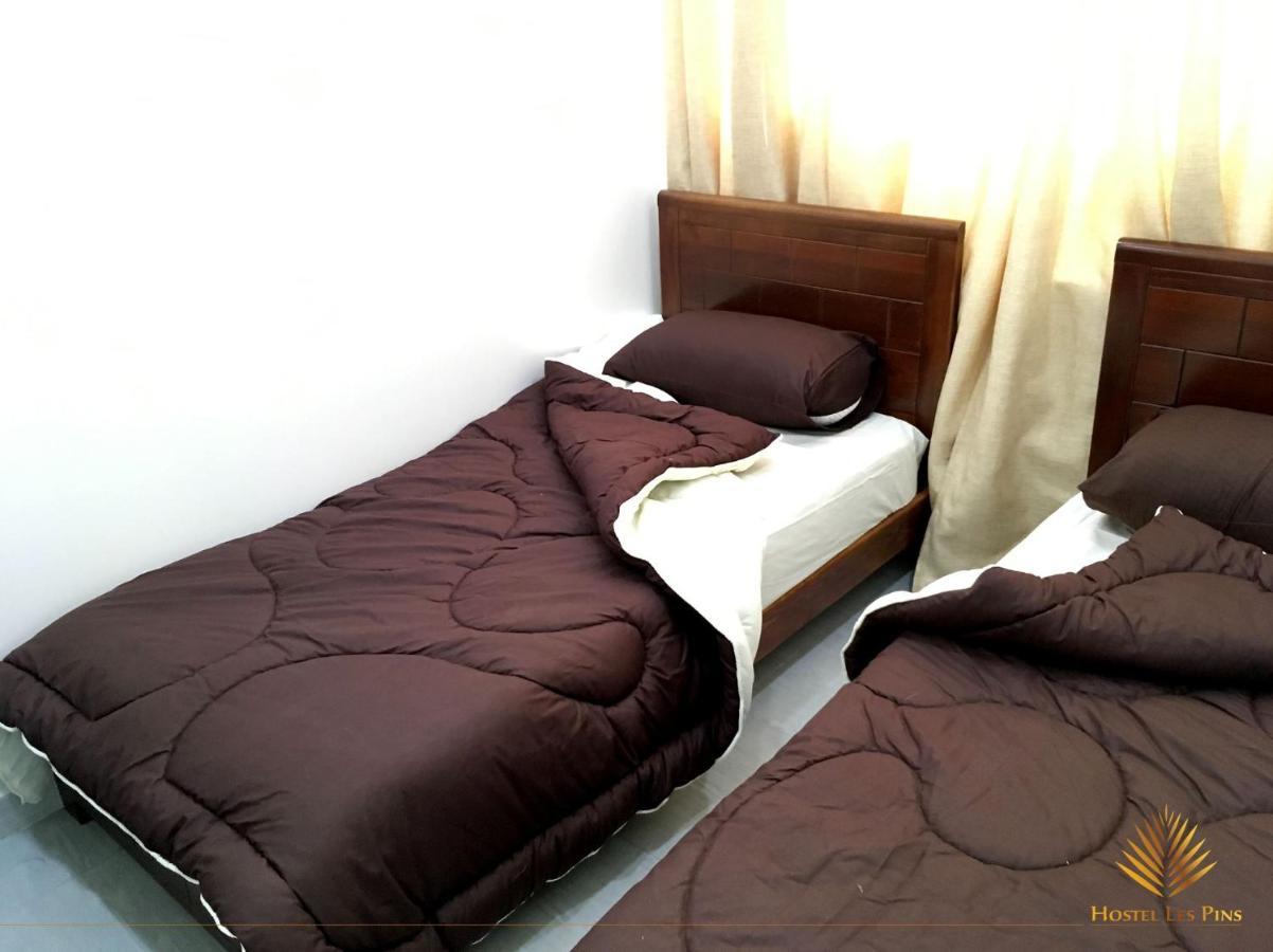 Hostel Les Pins Alger المظهر الخارجي الصورة